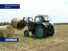 Аграрии Ростовской области обеспокоены проблемой заготовки кормов к зиме 