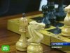 Баталия по шахматным понятиям