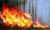 Премьер Греции обещает восстановить сгоревшие леса