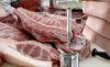 Поставки бразильского мяса в Россию будут защищены от подделки
