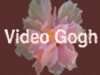Video Gogh 2.8.1: эффект рисованного изображения на видео
