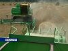 Первый миллион тонн зерна нового урожая намолотили аграрии Ростовской области 