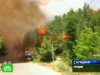 В Турции горят леса.