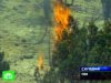 В США жертвами лесных пожаров стали три человека