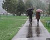 На выходных в Москве заметно похолодает, будут и дожди, может и в Белой Калитве станет попрохладней.
