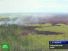 В Хабаровском крае горят леса