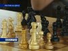 В Ростовском шахматном клубе отмечают Международный день шахмат 