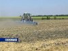 В Ростовской области собрано 3,6 миллиона тонн зерна