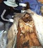 Корейская мумия оказалась заразной