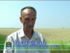 Белая Калитва. Видео Панорама от 02.08.07 (видео)
