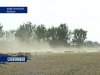 В связи с гибелью сельхозпосевов на Дону введен режим чрезвычайной ситуации 
