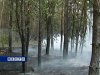 В нескольких районах Ростовской области борются с лесными пожарами на площади 380 гектаров