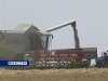 Завершена уборка зерновых в Ростовской области