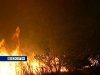 Ликвидирован лесной пожар в Обливском районе