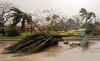 Ураган "Дин" может вызвать на Ямайке опасные для жизни оползни