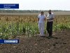 Сев озимых в Ростовской области начнется на две недели позже обычного
