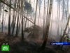 В центральной части России бушуют лесные пожары