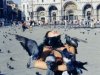 Венецианцам голуби доставляют массу хлопот