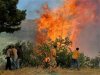 В Греции задержан подозреваемый в лесных поджогах