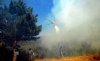 В тушении пожара в Греции участвуют несколько государств