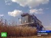 Урожай в Красноярском крае убирают комбайны нового поколения