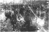 О деятельности партизанского отряда под командованием Свиридова - война 1941 - 1945
