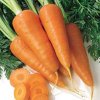 Кулинарная обработка моркови