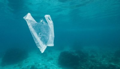 Океанские глубины превратились в «урны» для пластиковых отходов